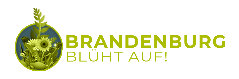 Brandenburg blüht auf !
