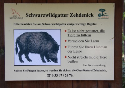 Schwarzwildgatter Zehdenick