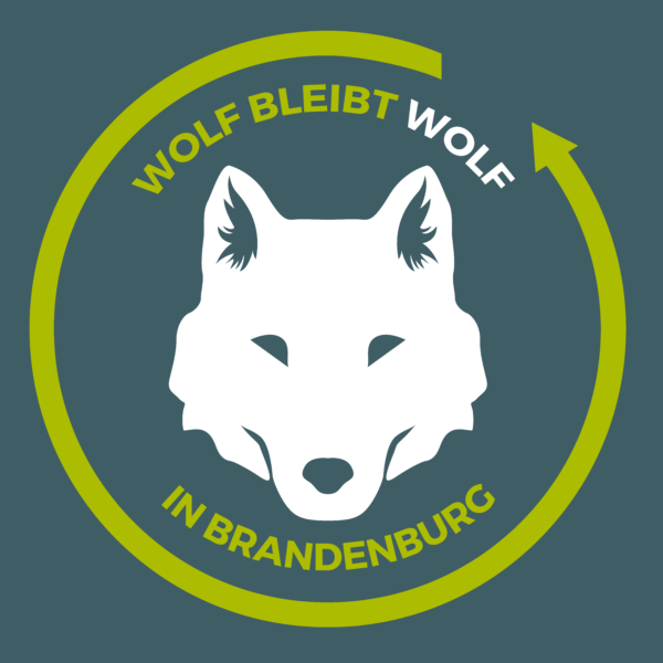 Wolf bleibt Wolf in Brandenburg
